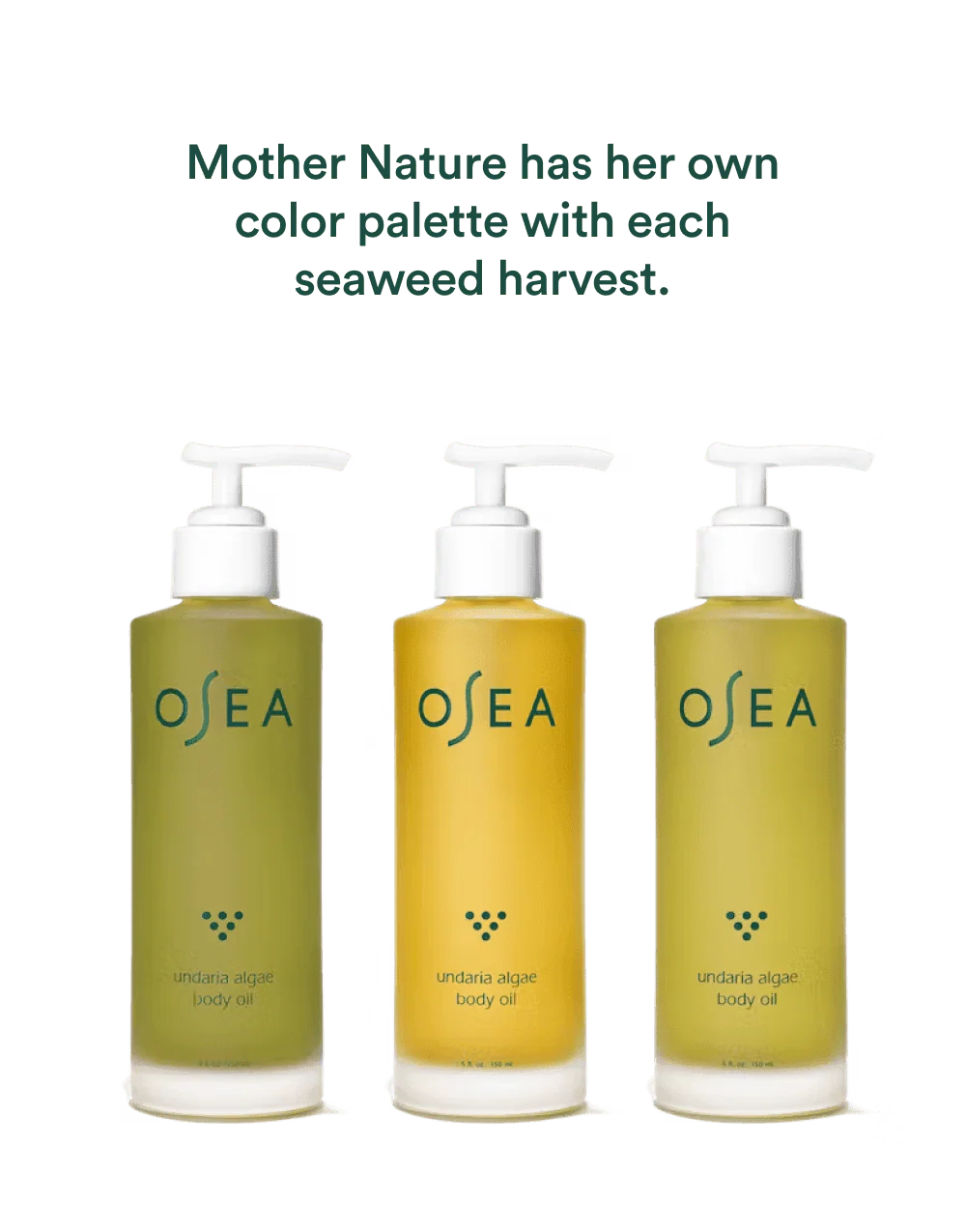 Undaria Algae⢠Body Oil Travel Size - Image 4