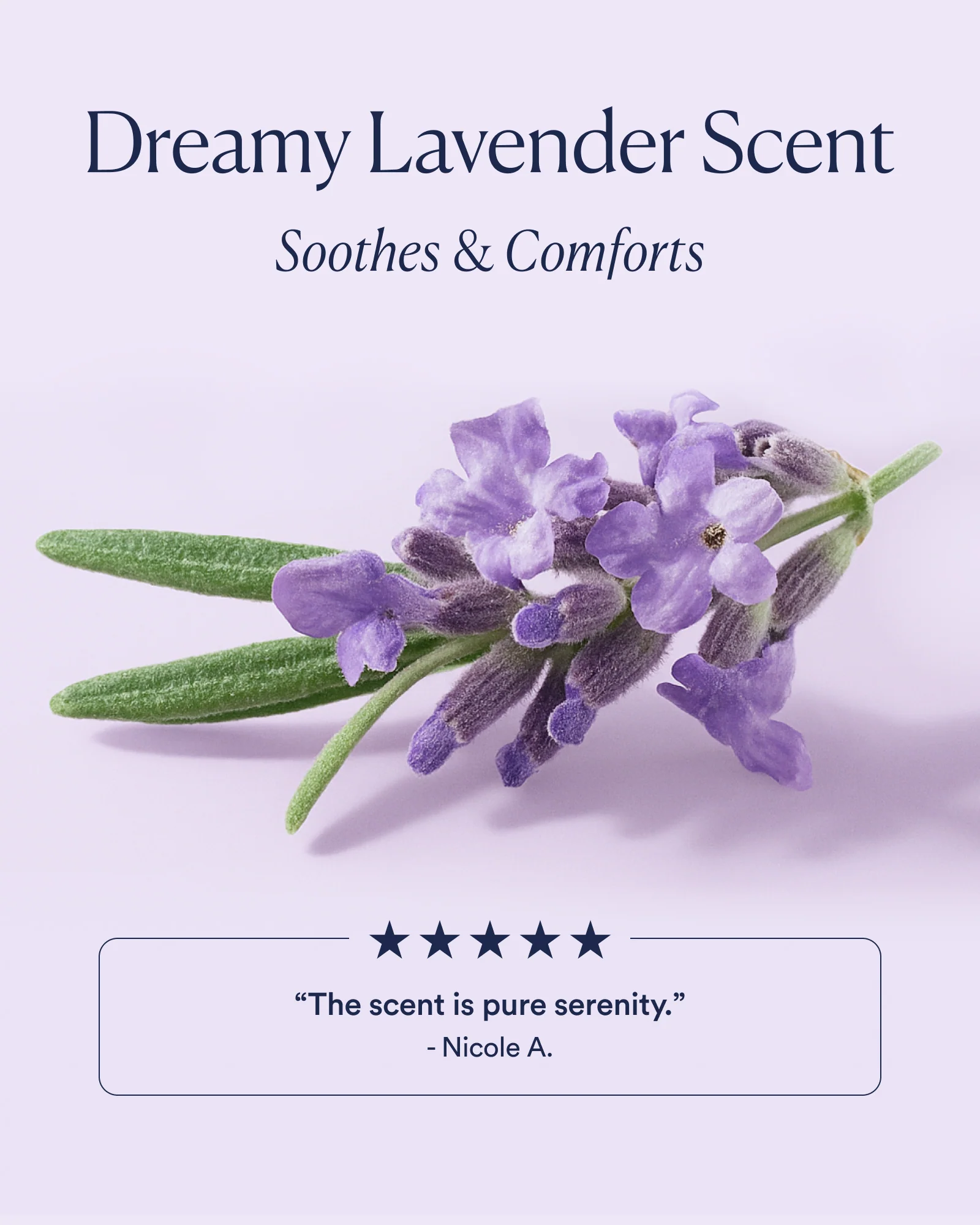 Dream Bio-Retinol Trio - Image 4