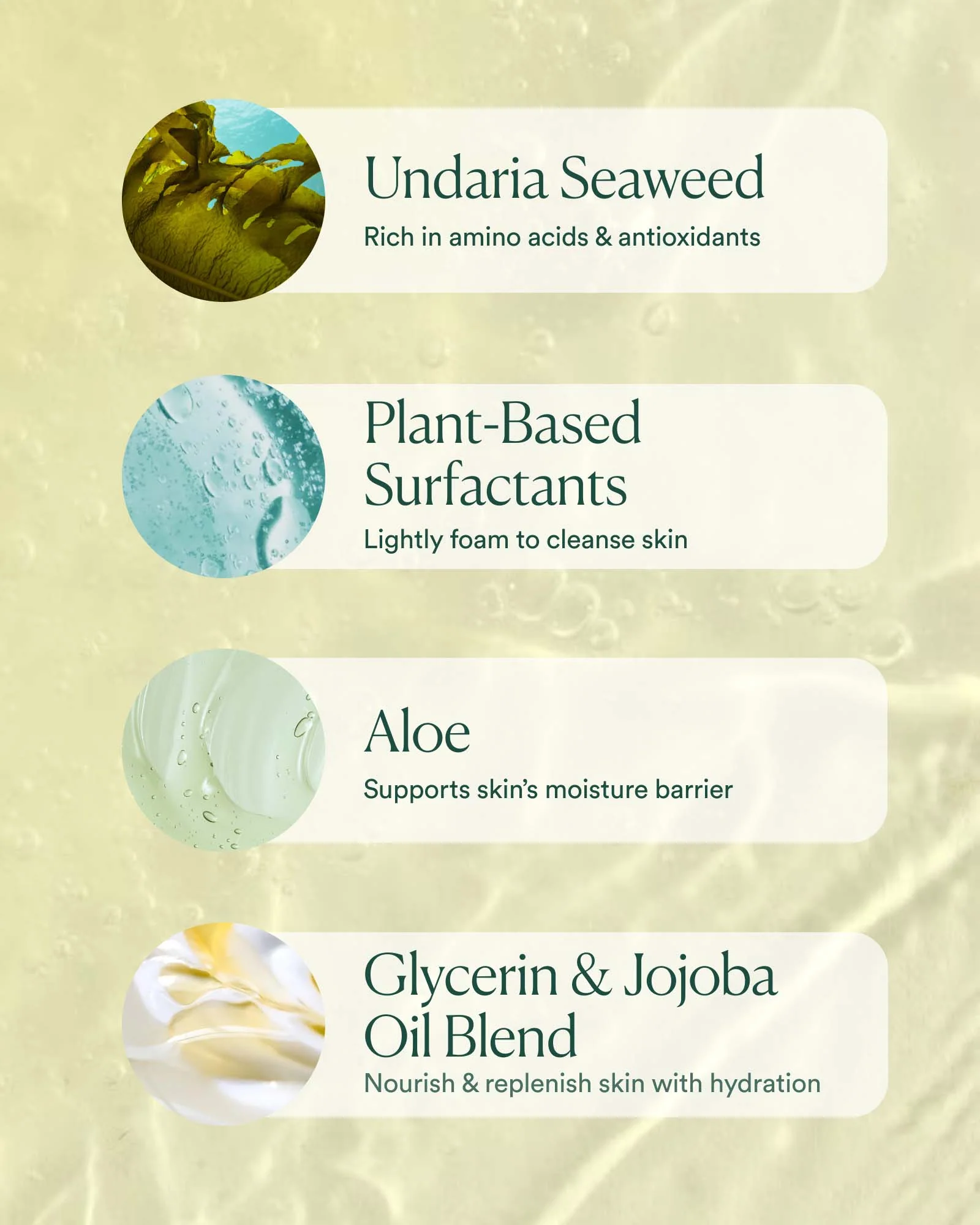 Undaria Algae⢠Body Wash - Image 6