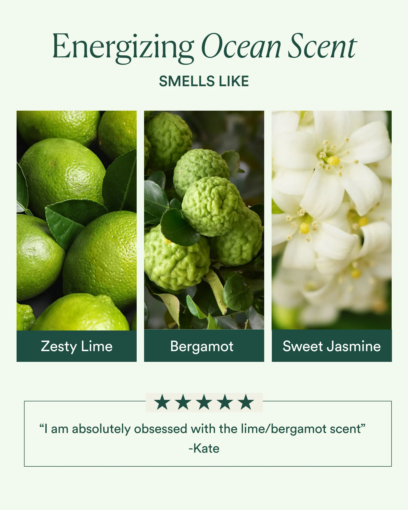 Ocean Cleanser - Image 6