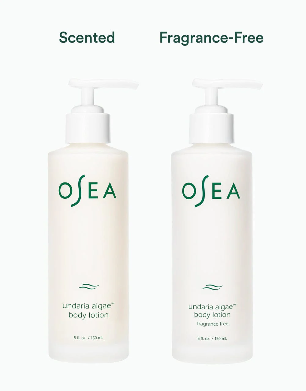 Undaria Algae™ Body Lotion - Image 10