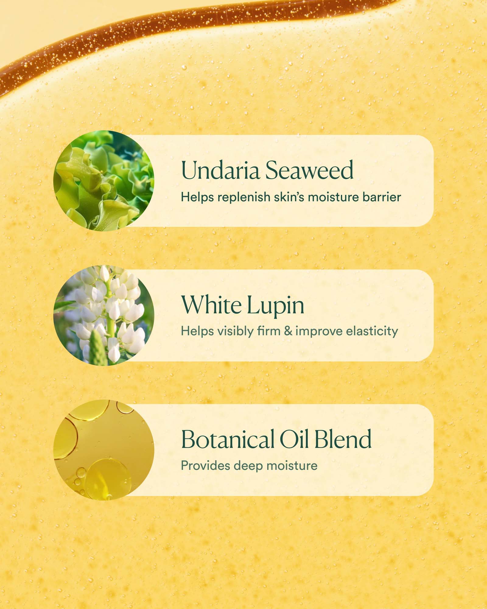 Undaria Algae™ Body Oil - Image 6